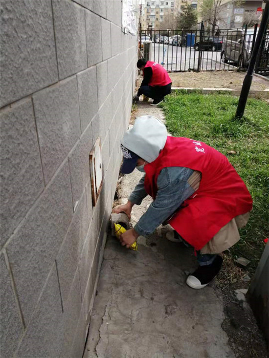 银山路社区积极开展春季除四害活动